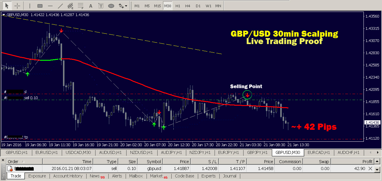 Best forex traders to follow